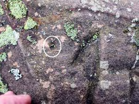 Figure 3 from report