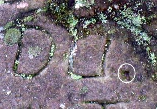 Figure 4 from report