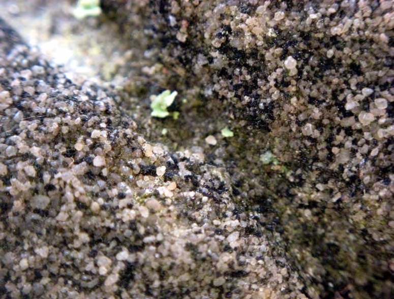 Figure 5 from report