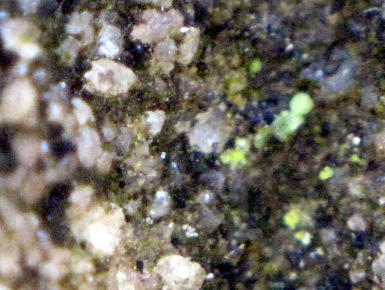 Figure 6 from report