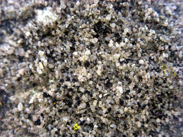 Figure 7 from report