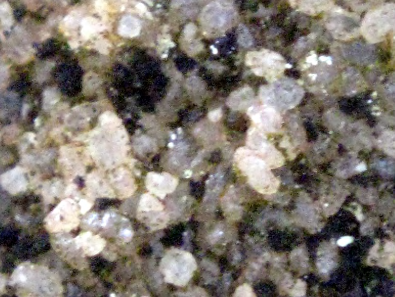 Figure 8 from report