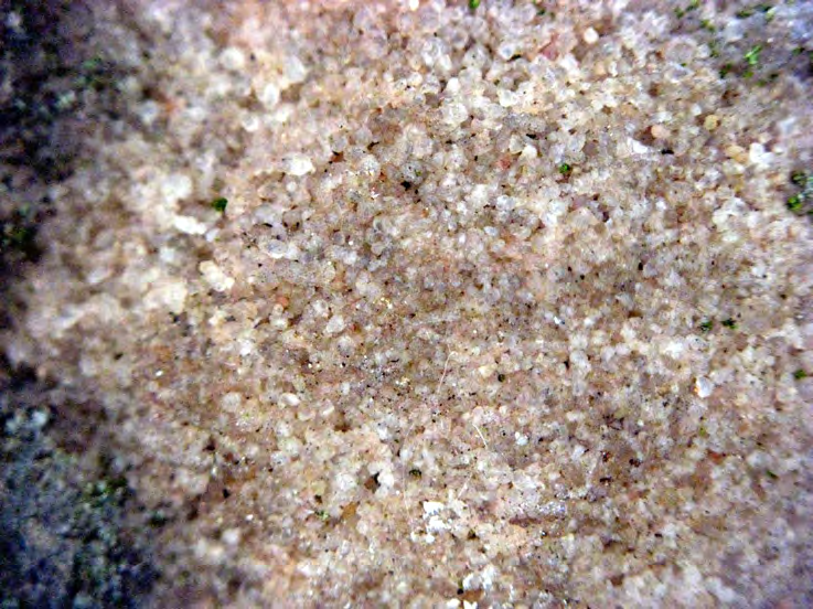 Figure 11 from report